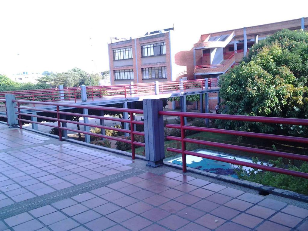 Acerca de la crisis de los colegios públicos 
