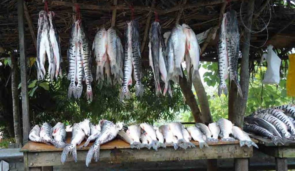 Recomendaciones a expendedores y consumidores ante ‘subienda’ pescado