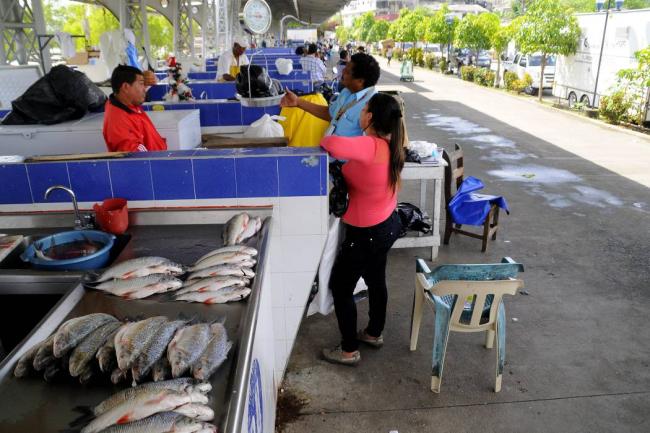 Vendedores de pescado serán reubicados en el puerto de embarcaciones menores