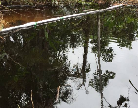 Conozca el Informe de la Alcaldía de B/bermeja sobre la tragedia ambiental en Lizama