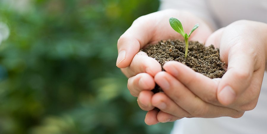 Actividades alusivas al Día Mundial del Medio Ambiente en Barrancabermeja