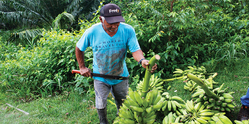 Éxito reportan organizadores del Mercado Campesino Virtual 