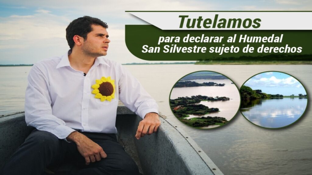 Admitida la tutela que busca protección para la ciénaga San Silvestre