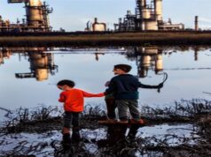 Prohíben pesca en la ciénaga Miramar por su alto grado de contaminación ciénaga contaminada - tomada de internet