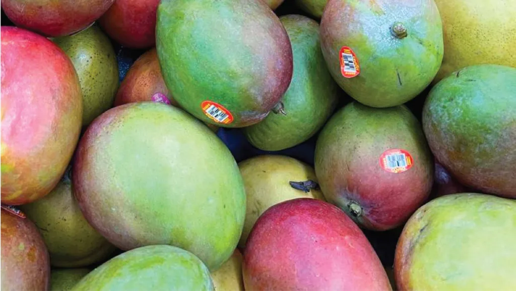 El mango como alimento saludable: una delicia llena de nutrientes