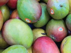 El mango como alimento saludable: una delicia llena de nutrientes Mango