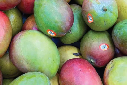 El mango como alimento saludable: una delicia llena de nutrientes Mango