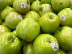 Conozca los efectos de las manzanas en la salud y descubra su delicioso sabor Manzanas