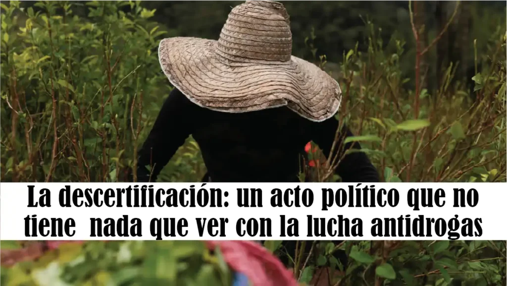 La descertificación es un acto político que no tiene nada que ver con la lucha antidrogas