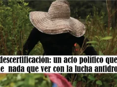 La descertificación es un acto político que no tiene nada que ver con la lucha antidrogas La descertificación es un acto político que no tiene nada que ver con la lucha antidrogas