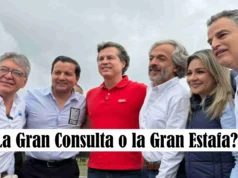 ¿La Gran Consulta o la Gran Estafa? ¿La Gran Consulta o la Gran Estafa?